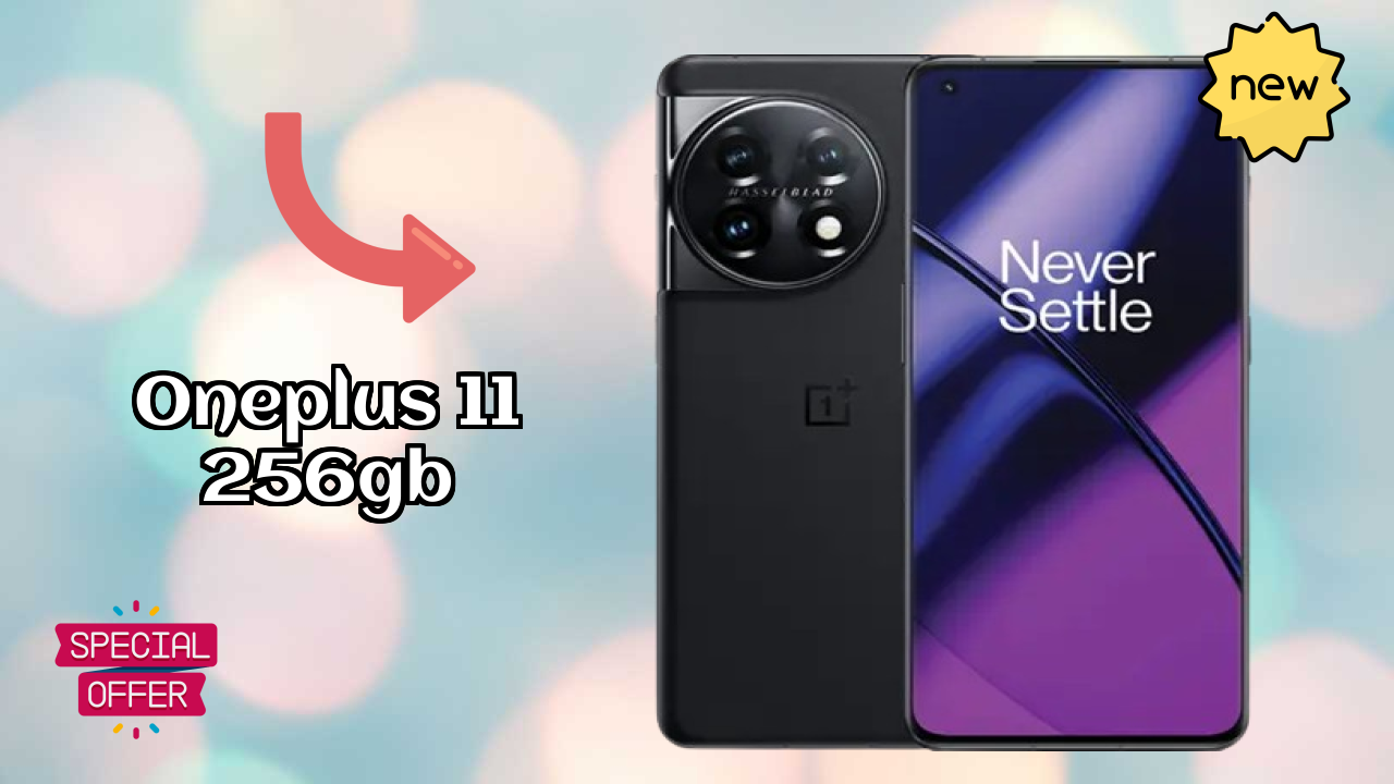OnePlus 11 256GB Camera Review: 50 MP + 48 MP + 32 MP Rear Camera Photo Test