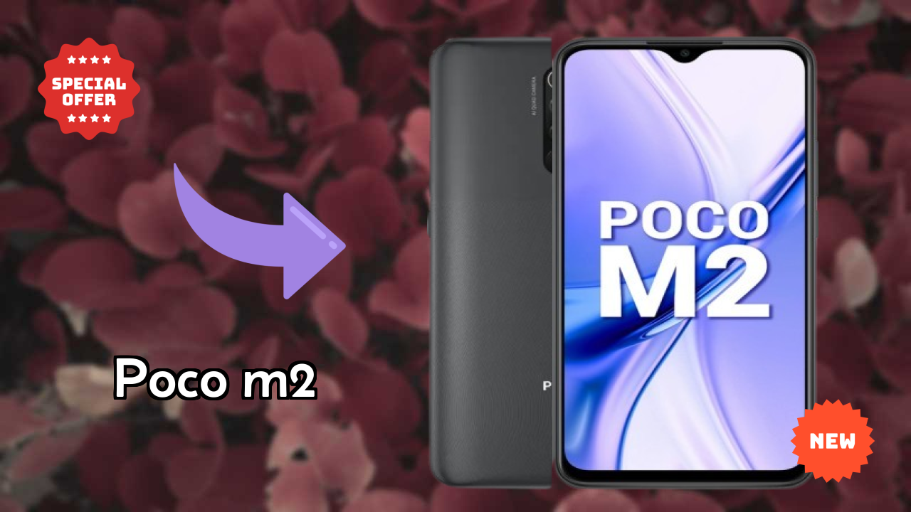 POCO M2 Camera Review: 13 MP + 8 MP + 5 MP + 2 MP Rear Camera Samples
